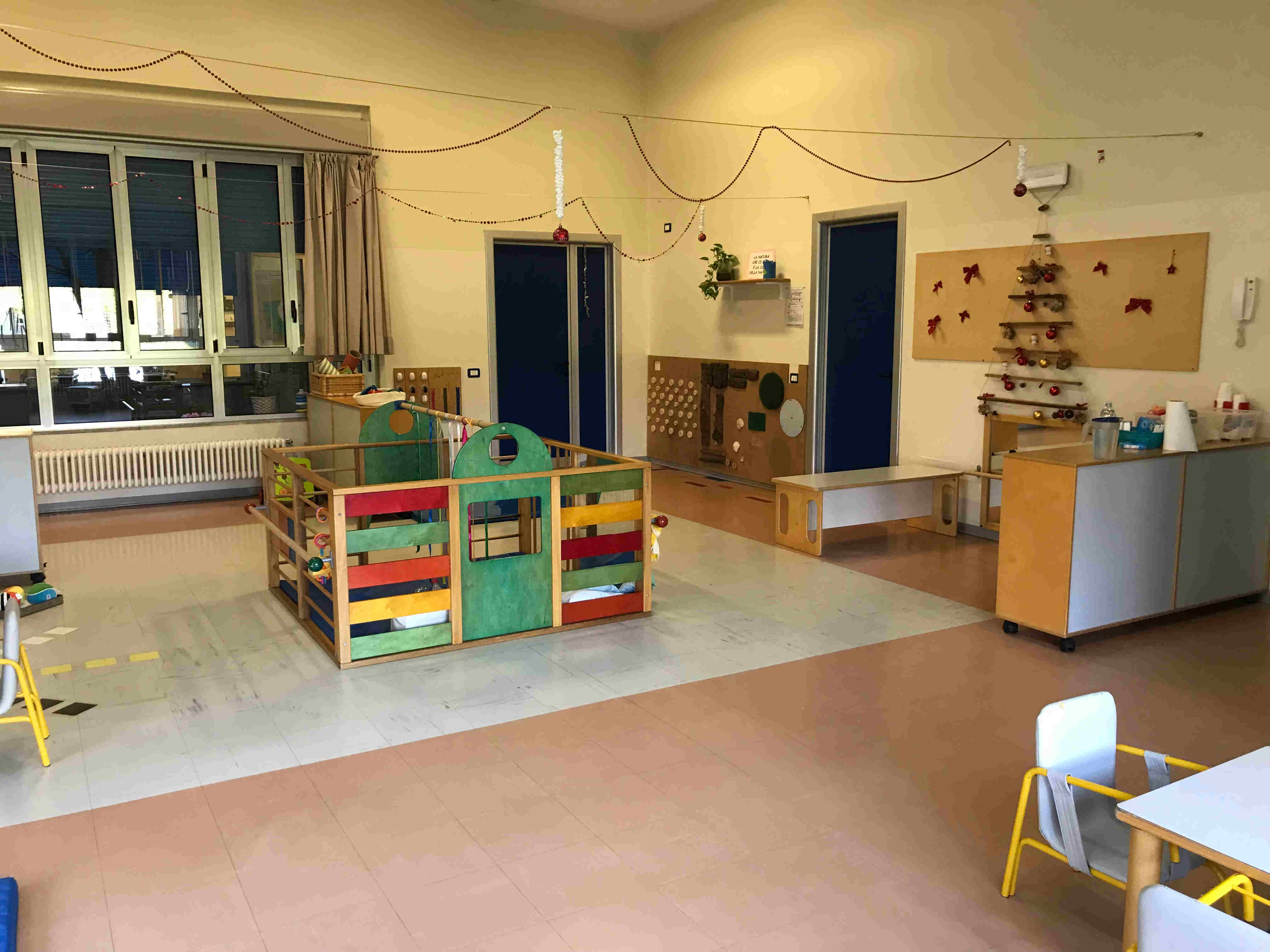 La sezione: descrizione e foto