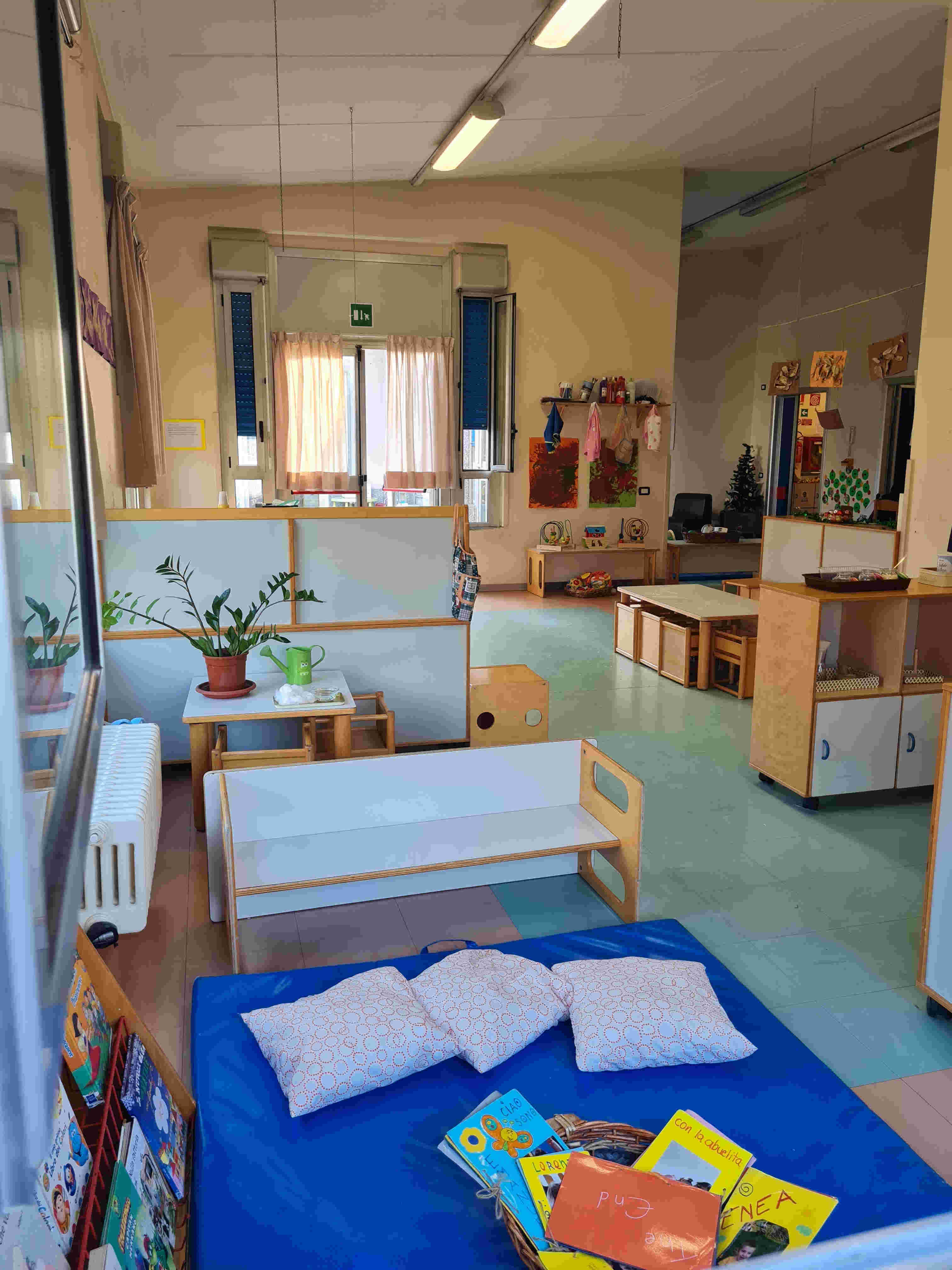 La sezione: descrizione e foto