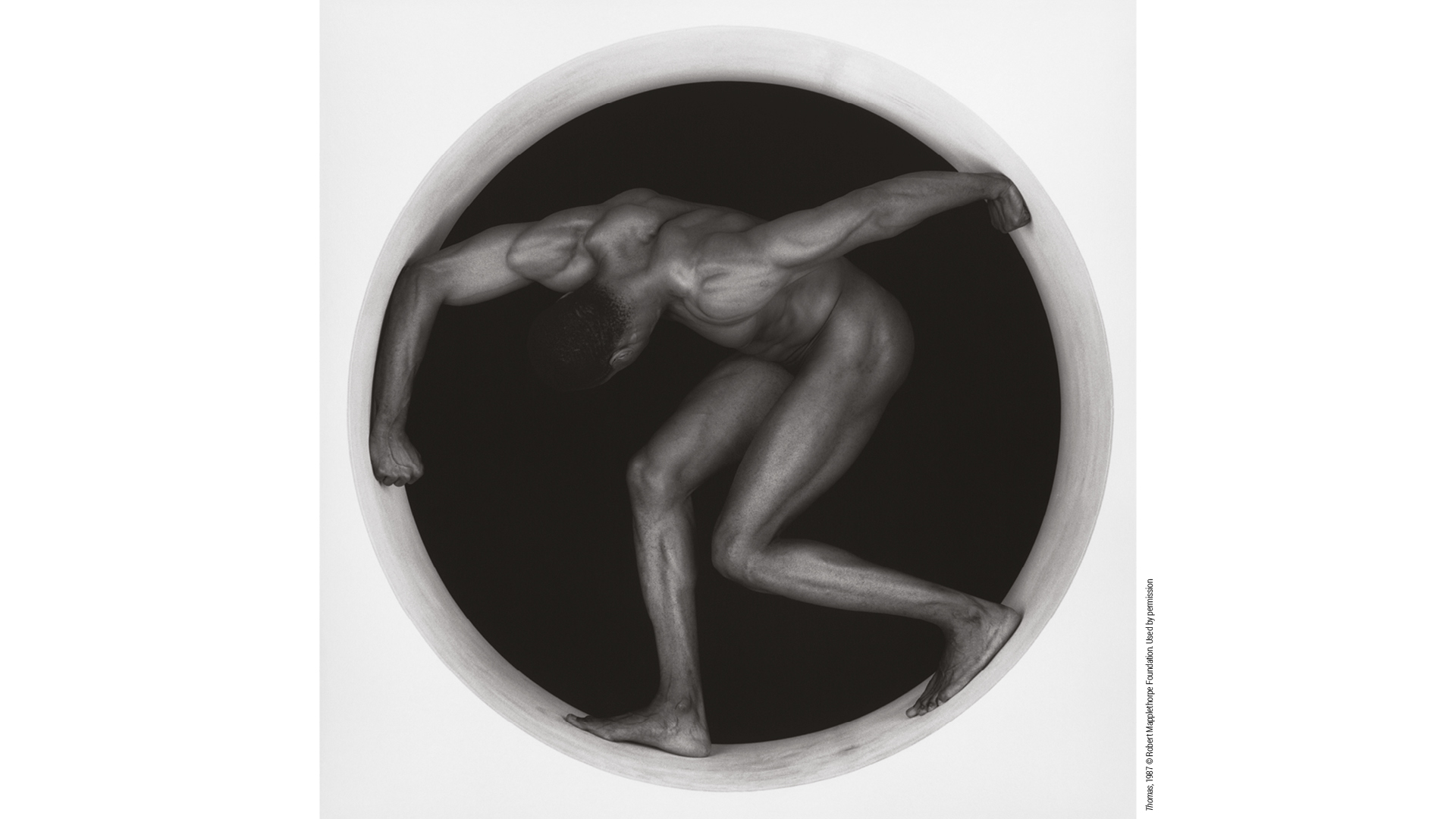 ROBERT MAPPLETHORPE. Le forme del desiderio. Visite guidate con il curatore