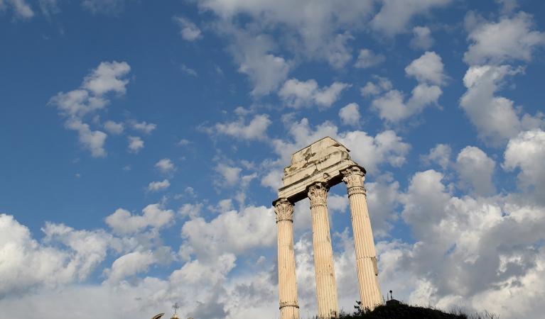 Ritratte Direttrici di musei italiani