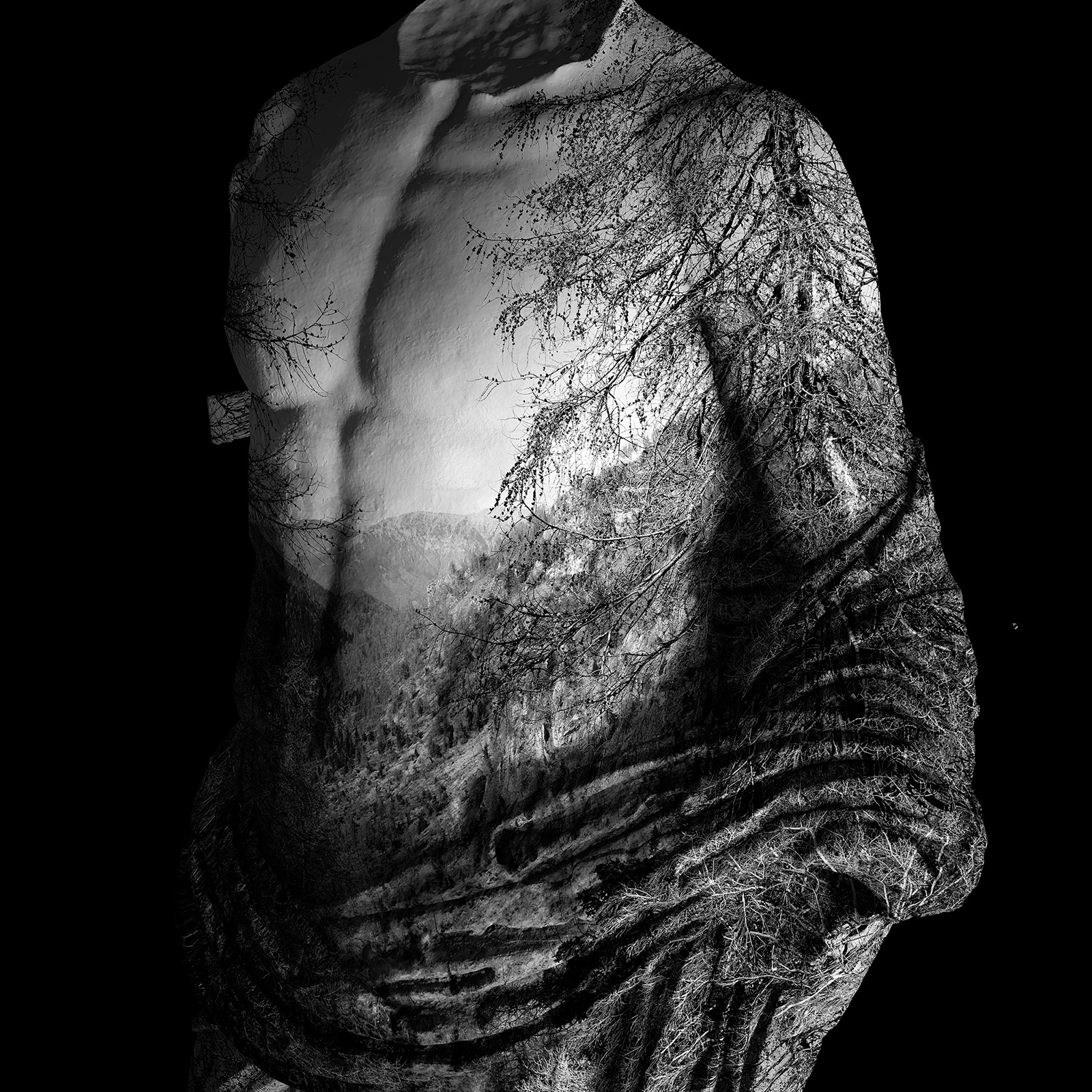 TRE-DI-CI Sguardi sui Musei di Lombardia