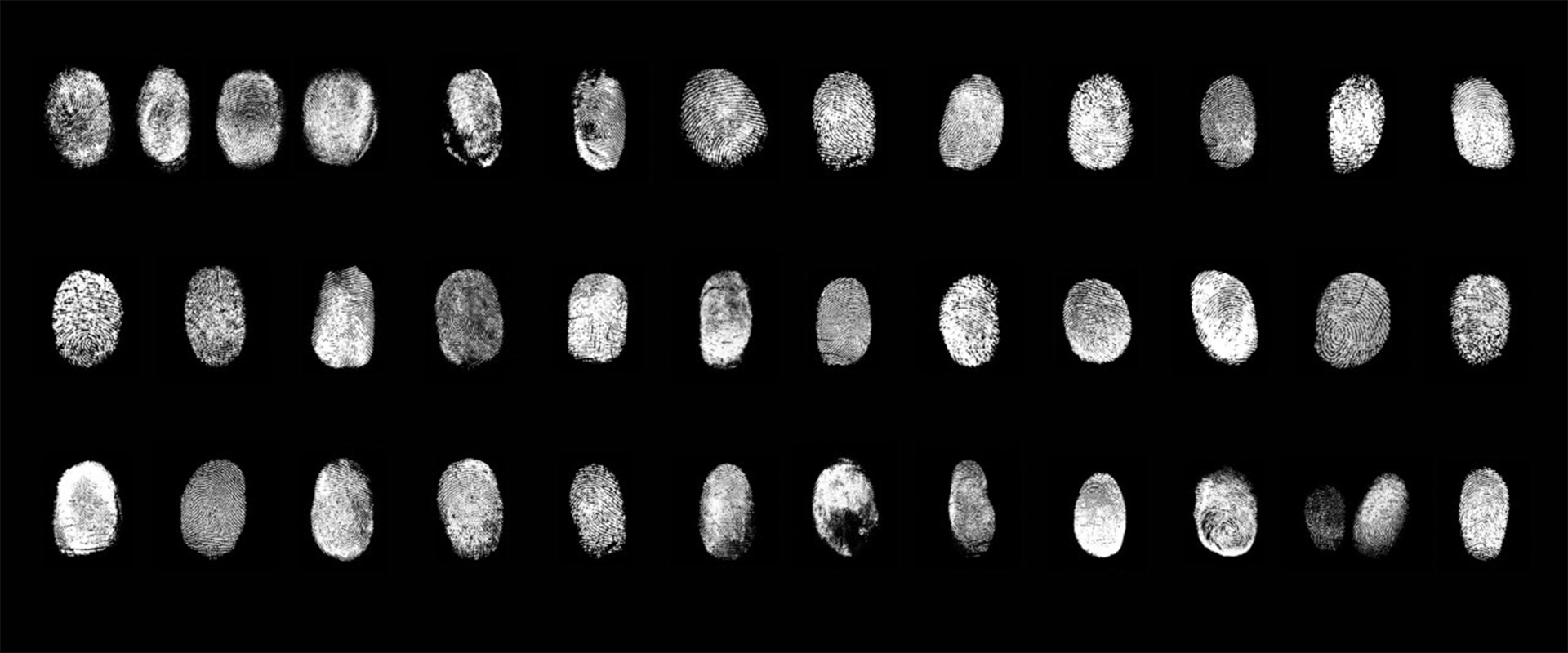 CORPUS DOMINI Dal corpo glorioso alle rovine dell’anima