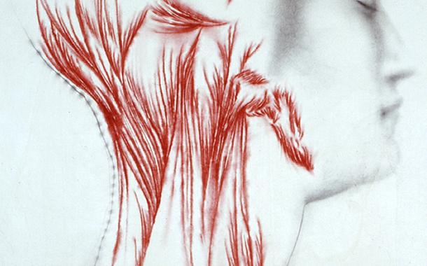 Omar Galliani, Nuove anatomie, matita + pastello su tavola, cm 251 x 185, 2001